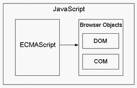 javascript���