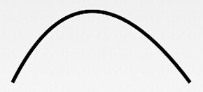 81389492.jpg.png