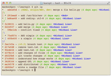 git-lg