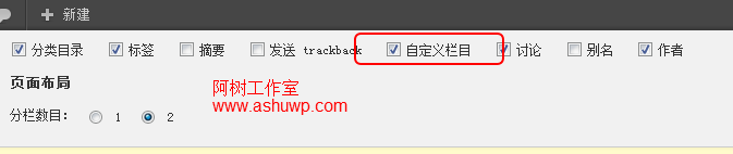 wordpress开启自定义字段