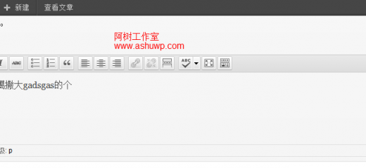 wordrpess自定义面板调用编辑器