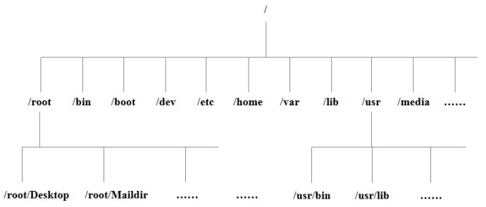 003vPl7Rty6E8kZRlAEdc&690